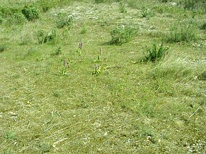 Stations diverses (Paysages)  Bouches-du-Rhone [France] 04/04/2002 - 110m