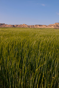 Paysages divers (Paysages)  Erribera / Ribera [Espagne] 28/04/2011 - 320m