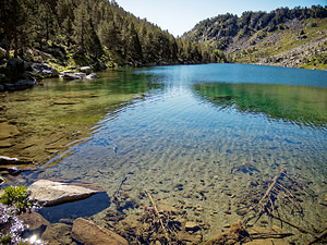 Paysages divers (Paysages)  Hautes-Pyrenees [France] 29/06/2015 - 2090m