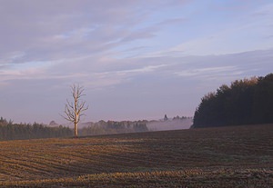 Paysages divers (Paysages)  Philippeville [Belgique] 02/11/2006 - 290m