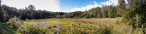 Stations diverses (Paysages)  Nord [France] 12/09/2014 - 40mEtang artificiel des Marchenelles.
Artificiel mais fort bien fait, et tr?s riche.
Malheureusement d?j? la jussie et la crassule de Helms l'envahissent?