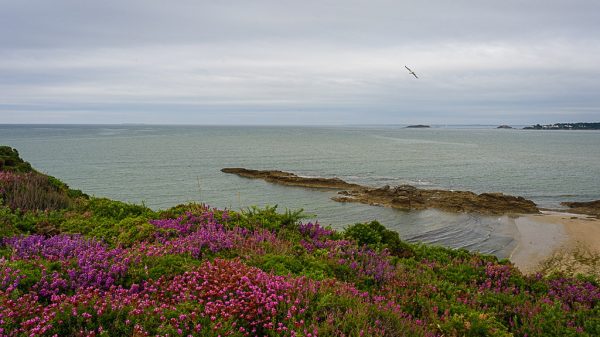 Landes atlantiques