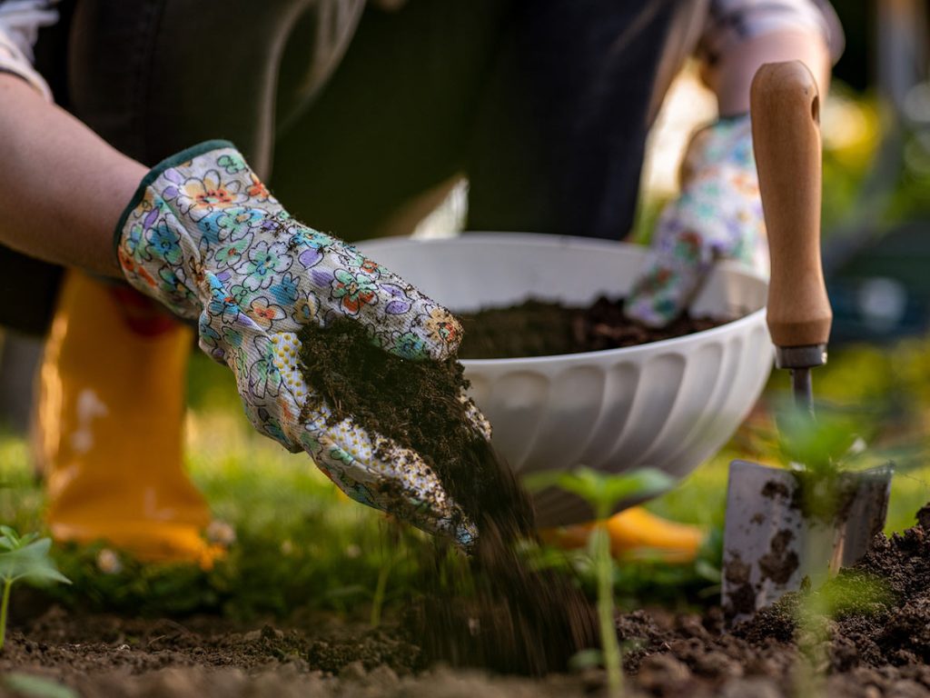 Jardin sans pesticide : les 6 meilleures techniques pour réussir