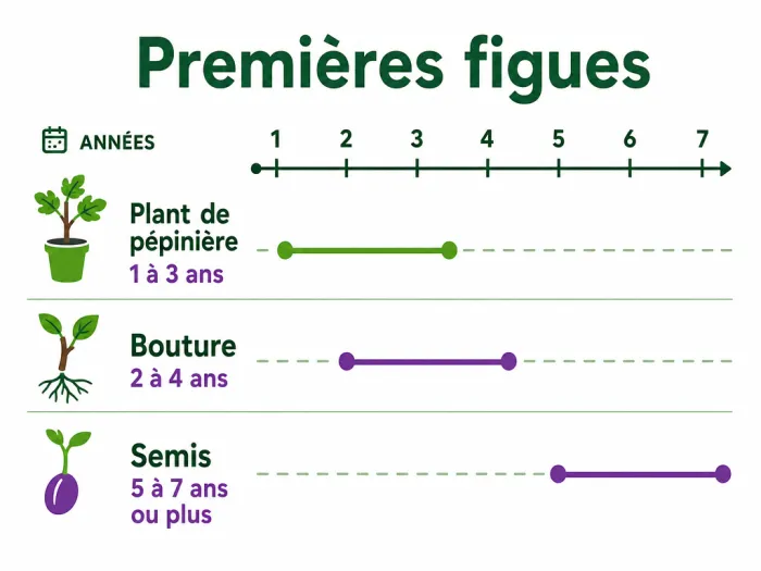 Délais de fructification selon l’origine